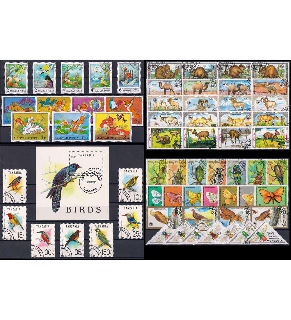 Motiv Tiere 64 vers. Werte