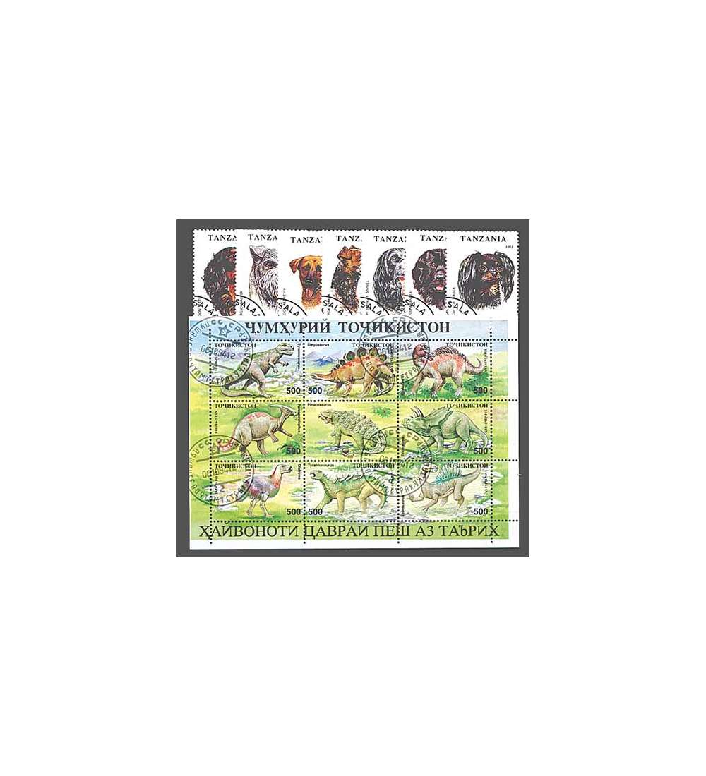 Tiere-Motiv - Sammlung plus Album