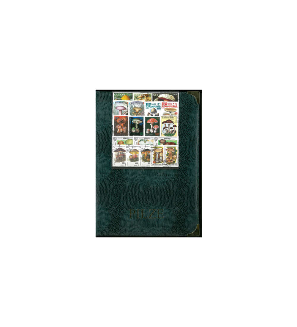 Spezial - Album Pilze