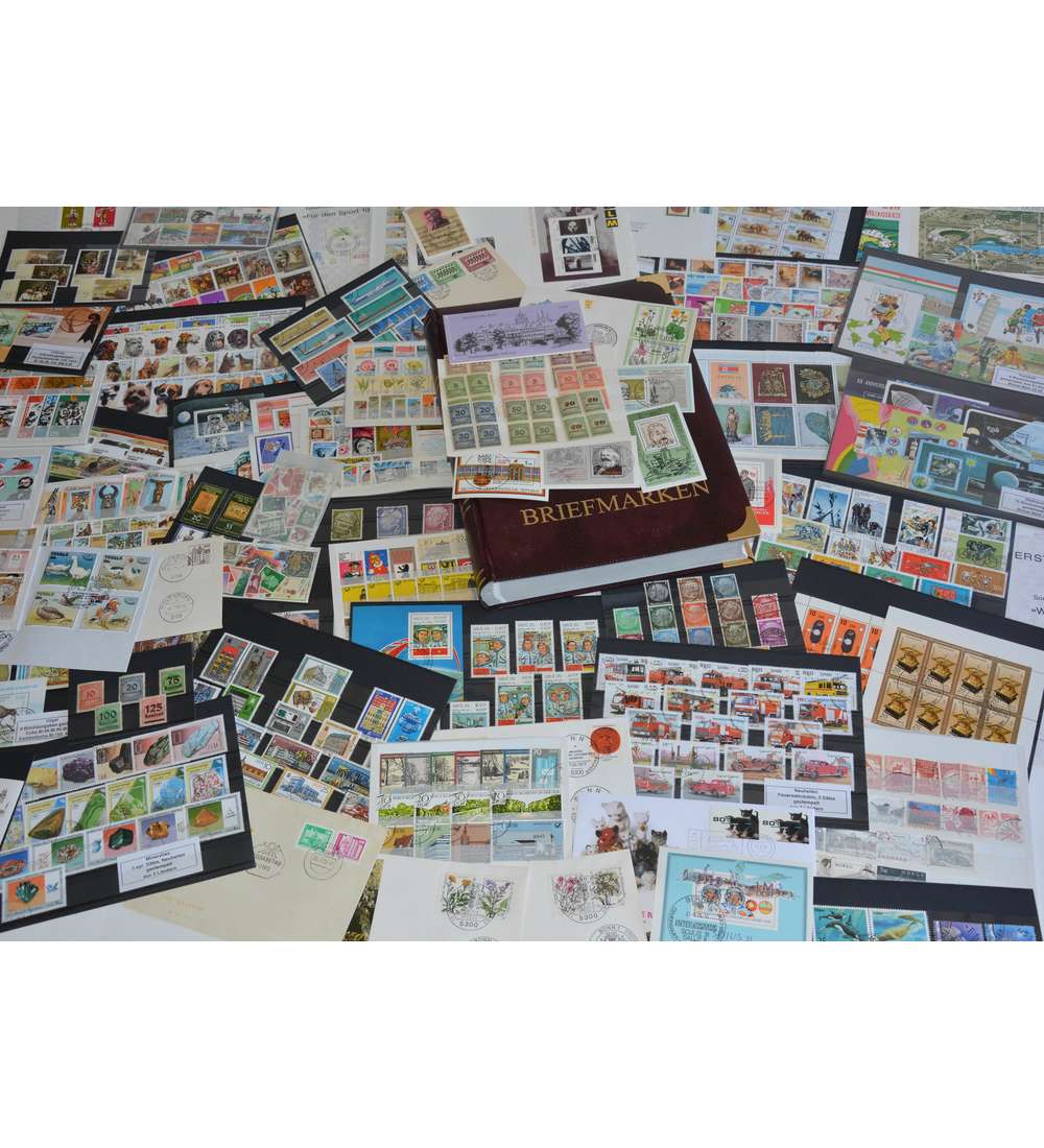 Riesen-Reste-Kiste 10 Pfnder