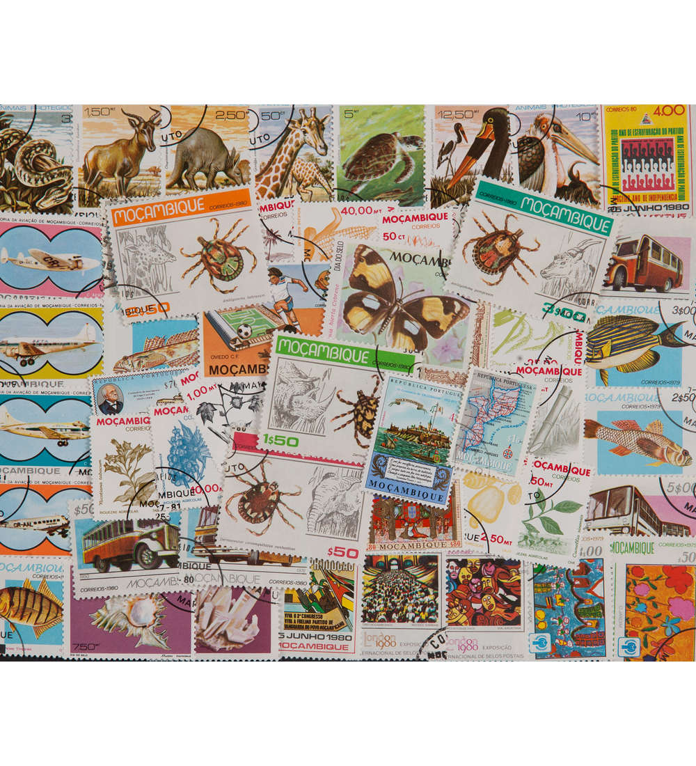  100 Mozambique