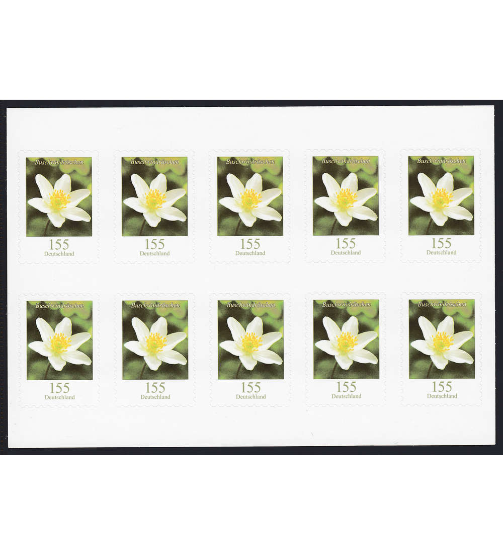 BRD Folienblatt 91 postfrisch Nr. 3459 Buschwindrschen