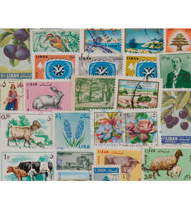 25 Libanon